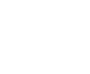 Evolution games at Dynasty Casino